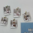 힐링퍼피 | [송파 애견 카페] 🐶 안녕퍼피 ㅡ 잠실 실내애견놀이터 후기 🐾