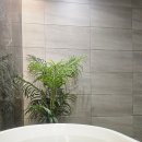 세신샵 더퓨어 이미지