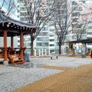 03오삼 이미지