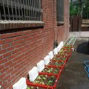 연수2동주민센터 이미지