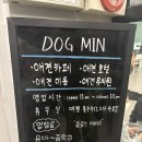 도그민 이미지