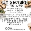올가뷰티 네이버블로그