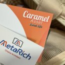 개 친절 펫택시 | 2025 수원 펫 페어 갔다 왔어요!