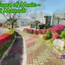 진해구청 이미지