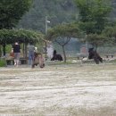 패밀리농장 이미지