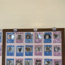 냥린이네 이미지