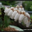 산야원 이미지