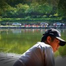 임진리낚시터 이미지