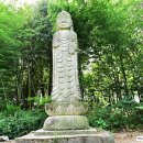 코스모스농원 이미지