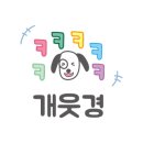 카페389