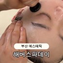 해버스파데이