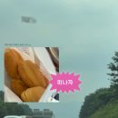 동광카 | 휴가 영덕 1박2일 여행 (동광어시장 노가네 예약 및...글램핑, 영덕 바다 해루질, 카페더기, 삼사마린해물)