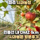 파주 사과농장 민통선 내 DMZ 1km 사과농원 방문후기
