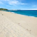 소금강늘벗 이미지