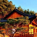 금계뜰마을 | [경상남도 산청군] 지리산 노을 펜션