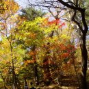 구덕공원 이미지