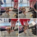 리버하우스 이미지