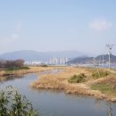 외동배수펌프장 이미지