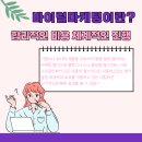 더탑비전 네이버블로그