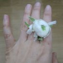 꽃반지 이미지
