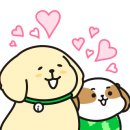 아프리카 동물의료센터 이미지