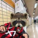 FC25편의점 | [상암] FC서울 홈경기 직관후기:: 서울월드컵경기장 동측E석 시야 먹거리 굿즈가격 꿀팁
