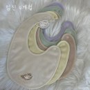 임신 13~16주차 기록 (2차기형아검사, 성별확정)