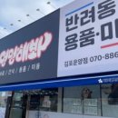 야옹아멍멍해봐 김포운양점 네이버블로그