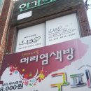 구피염색방 이미지
