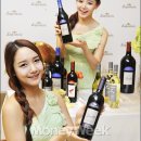 롯데와인신세계강남점 머니투데이