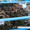 모아회집 이미지