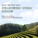 청춘들의 데이트 솔루션!! (순천드라마촬영장+보성녹차 -전라남도 인기관광지편) 이미지