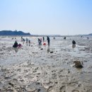 소래바다낚시터 | 🍂 가을 가족 바다 낚시/ 갯벌체험, 수도권에서 여기면 끝! 아이랑 다녀온 후기 포함 추천 5선