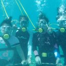 바닷속으로 | 🌊 괌 오션워커 패키지 완벽 가이드 | 사이판 스노클링보다 더 짜릿한 바닷속 체험 후기