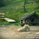 덕평목장 이미지