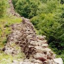 금대자동차야영장(치악산국립공원) 이미지