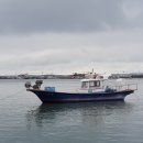 남당항(선착장) 이미지