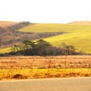 두산목장 이미지