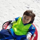 국가대표 드림플러스 태권도 이미지