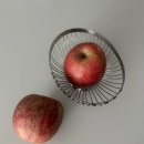 🍎사과에서 이런 매출이라니… 너무너무 맛있어서 재구매하신 사과 후기👏🏼 (내일마감)