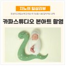 미즈제일산후조리원 | 미즈제일산후조리원 본아트 촬영 솔직 후기 ㅣ 대전 카파스튜디오