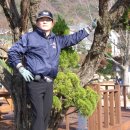 동막가든 Daum카페