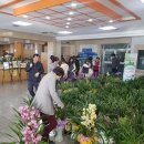 경산시청 이미지