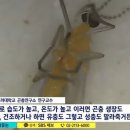 신이 아닌 이상 신축 아파트에 곰팡이 어찌 막아 이미지