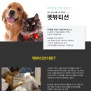 원애견샵 이미지