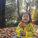 원대 수목원 이미지