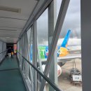 074 | 파리에서 두바이까지 EK074 탑승 후기