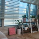 A Warm Floor on a Cold Day 이미지
