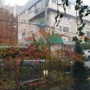 투썸플레이스관양현대점 이미지
