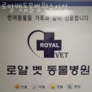 로얄벳 동물병원 이미지
